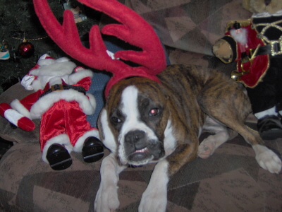 Okay mom ENOUGH! Bah Humbug!