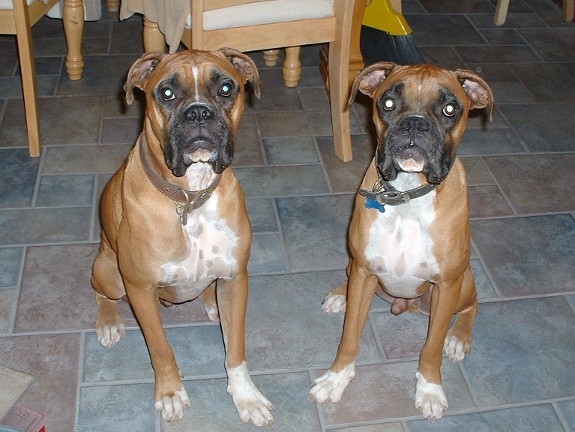 Okay mom... hurry up and take the picture already!