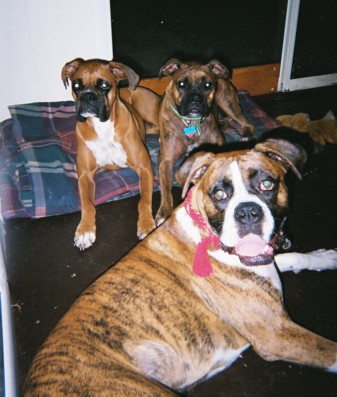 Okay, so I made them pose (AGAIN)