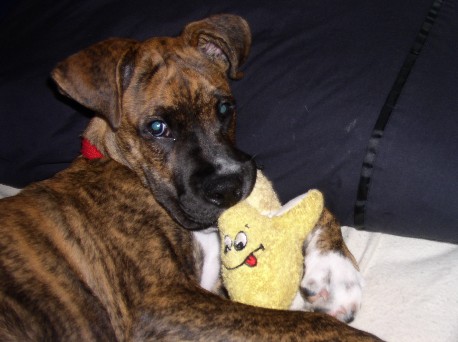 Oliver and his banana