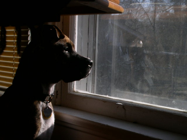 Oliver being stoic