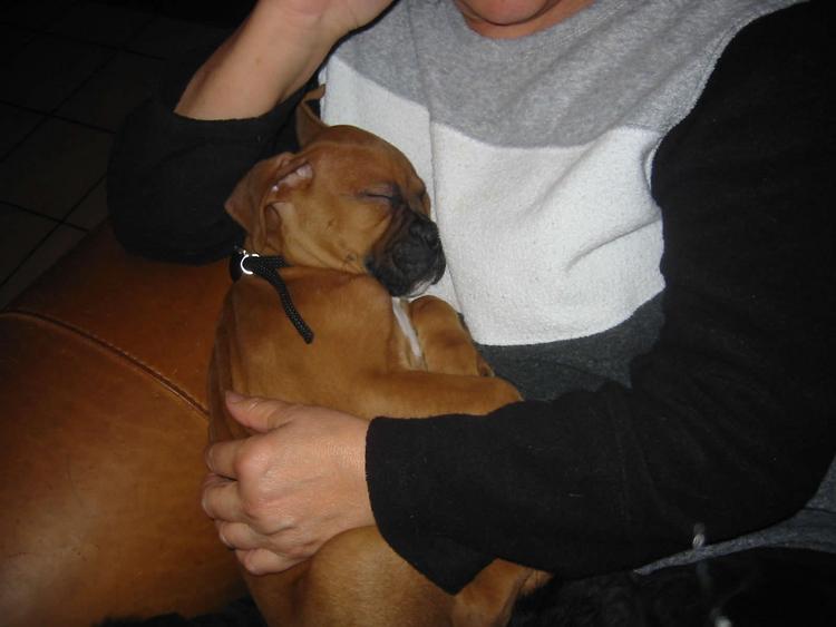 Oliver sleeping with grandma