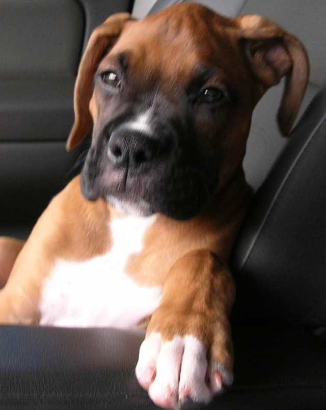 On a ride