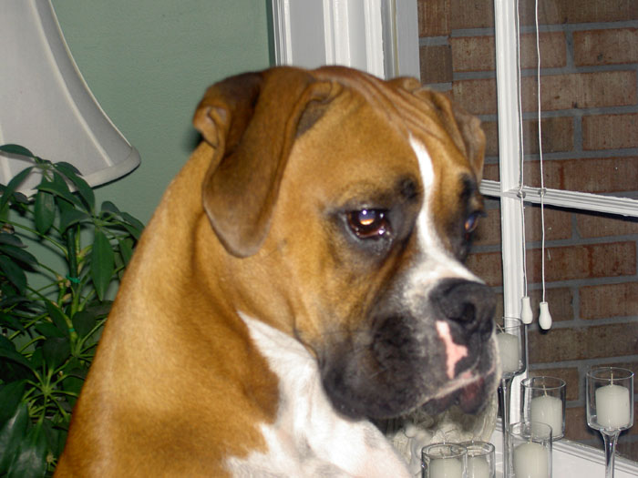 On Alert