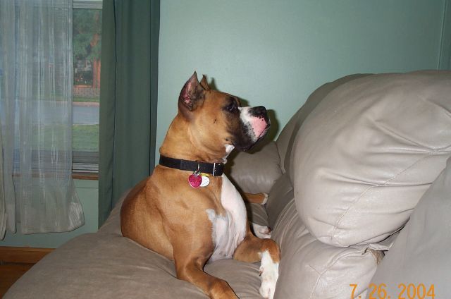 On alert!