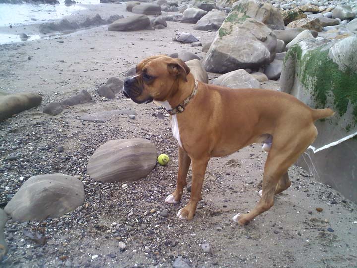 On bird watch at the beach.....