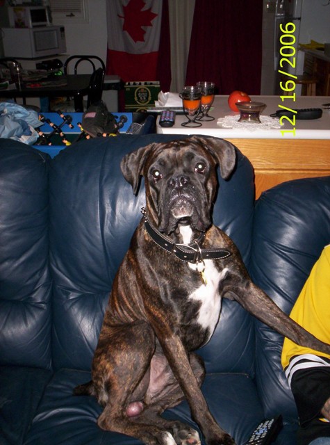On Daddy's Couch!