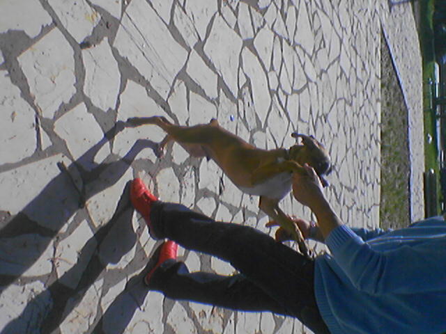 on foot