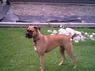 On Guard