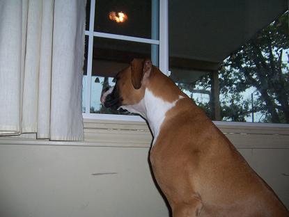 On guard