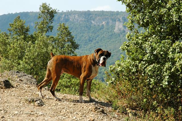 On his way to the river
