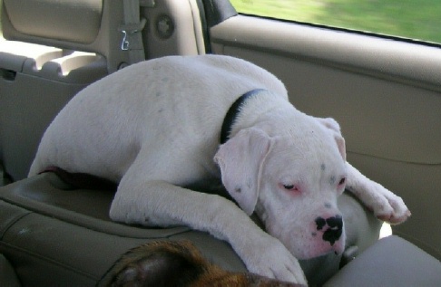 On my way home from the creek
