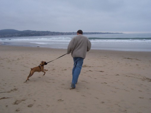 on the beach