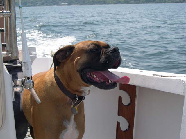 On the boat