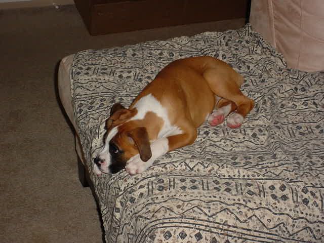 On the other side of the couch