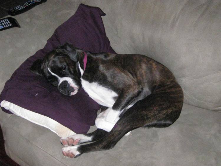 On The Pillow