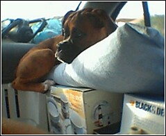 On the Road Again