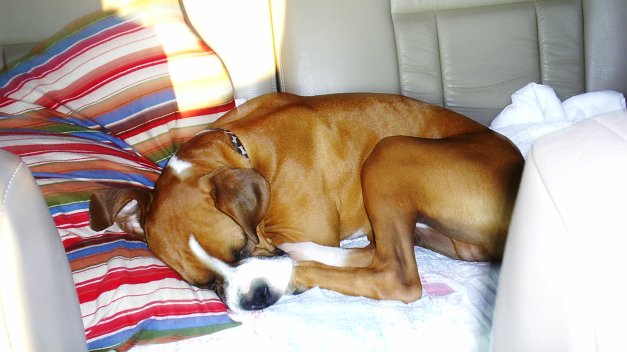 On the way home after a long Easter weekend