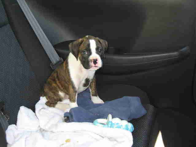 On the way home