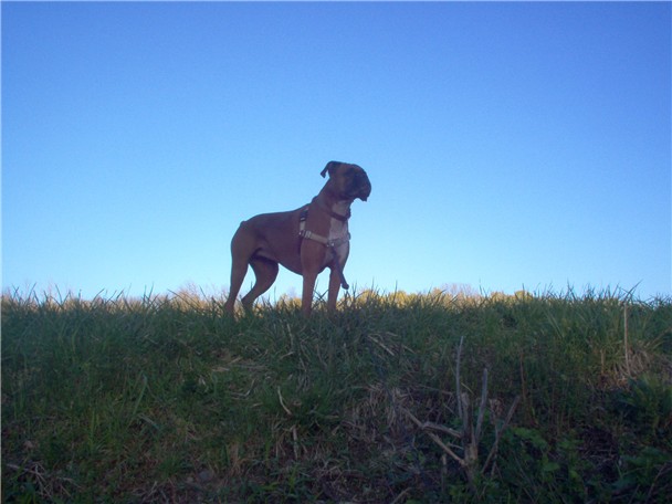 On Top of the World