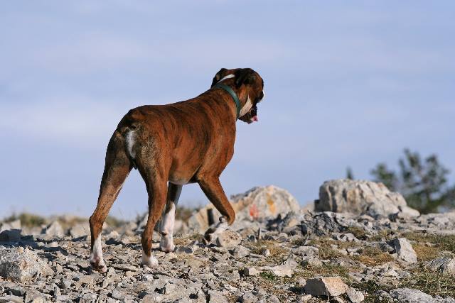 On top of the world