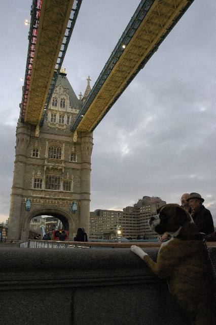 On Tower Bridge