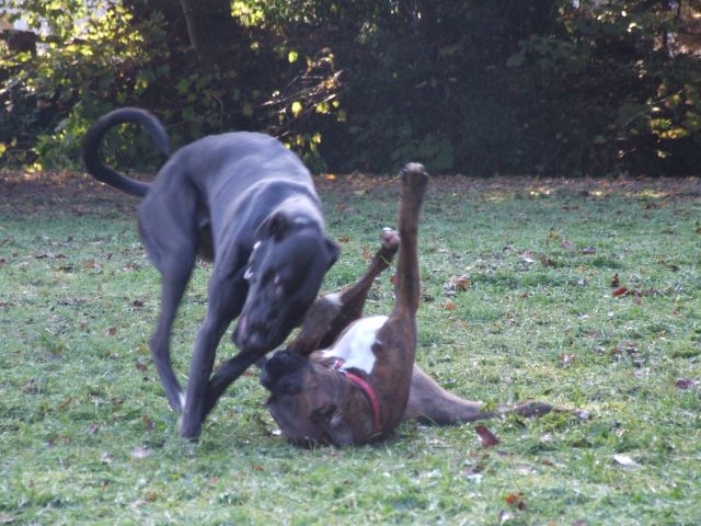 On Your Back Mate