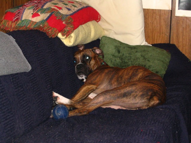 on_couch