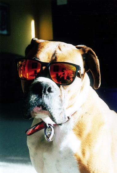 One Cool Dude
