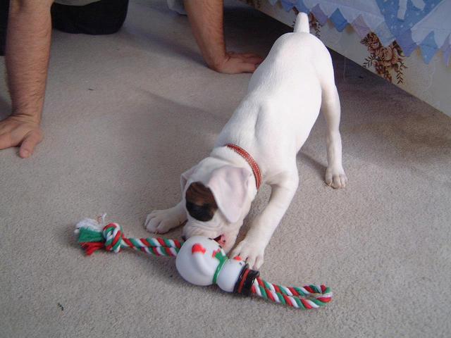 One of her favorite toys