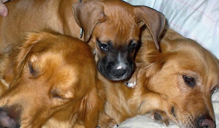 One of these things is not like the other!!