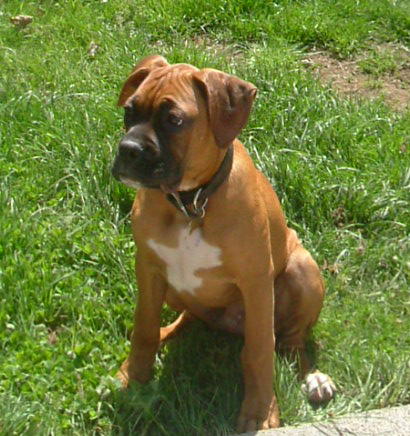 One_HOT_Lenard_Wiggins_003