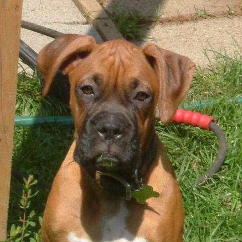 One_HOT_Lenard_Wiggins_006