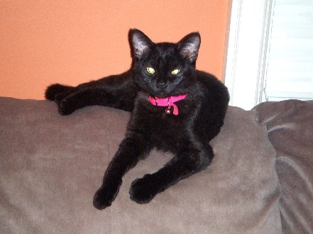 Onyx
