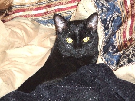 Onyx