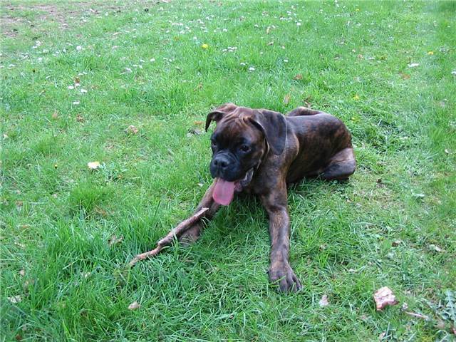 oooo this grass is lovely