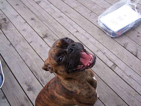 Open Wide!!