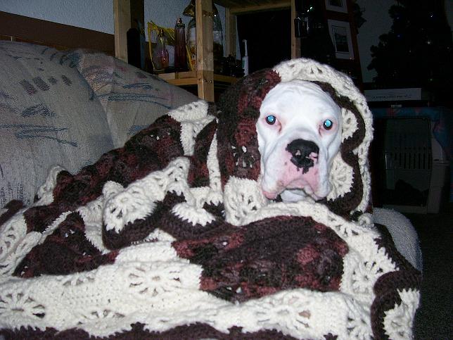 Oscar all bundled up