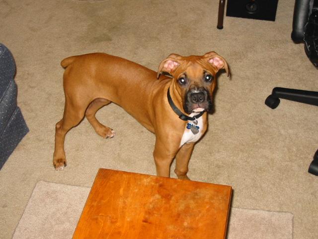 Oscar almost 6 months