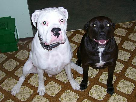 Oscar & Angel