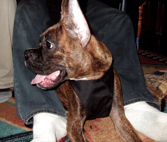 Oscar enjoying company.