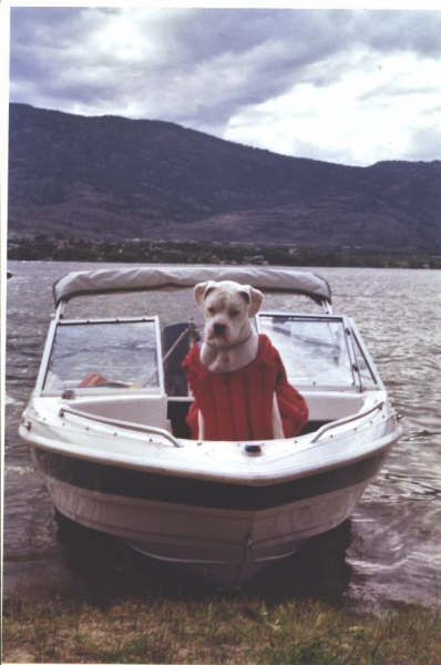 Oscar in the boat