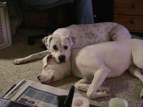 Oscar & Pete