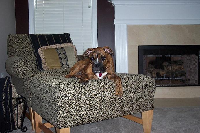 Oscar Relaxing