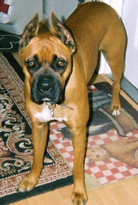 Oscar