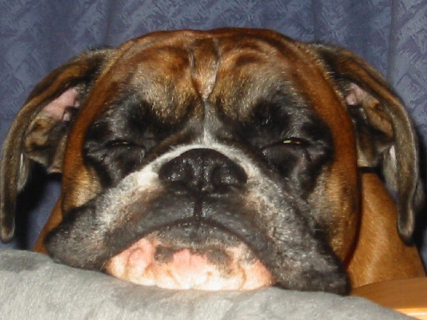 Oscar