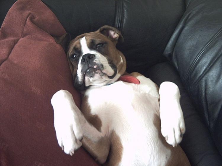 oscar