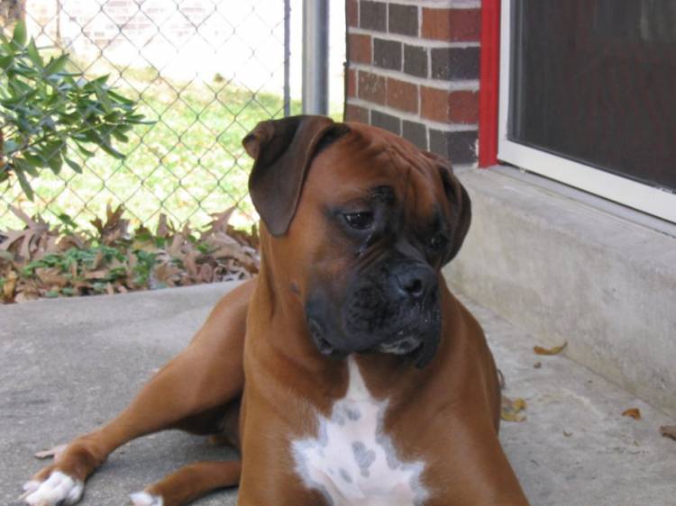 Oscar.