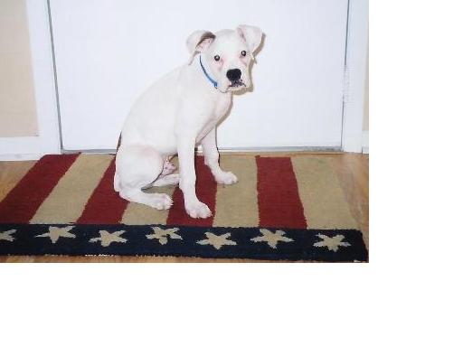Oscar
