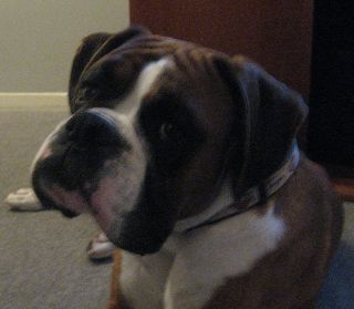 Oscar